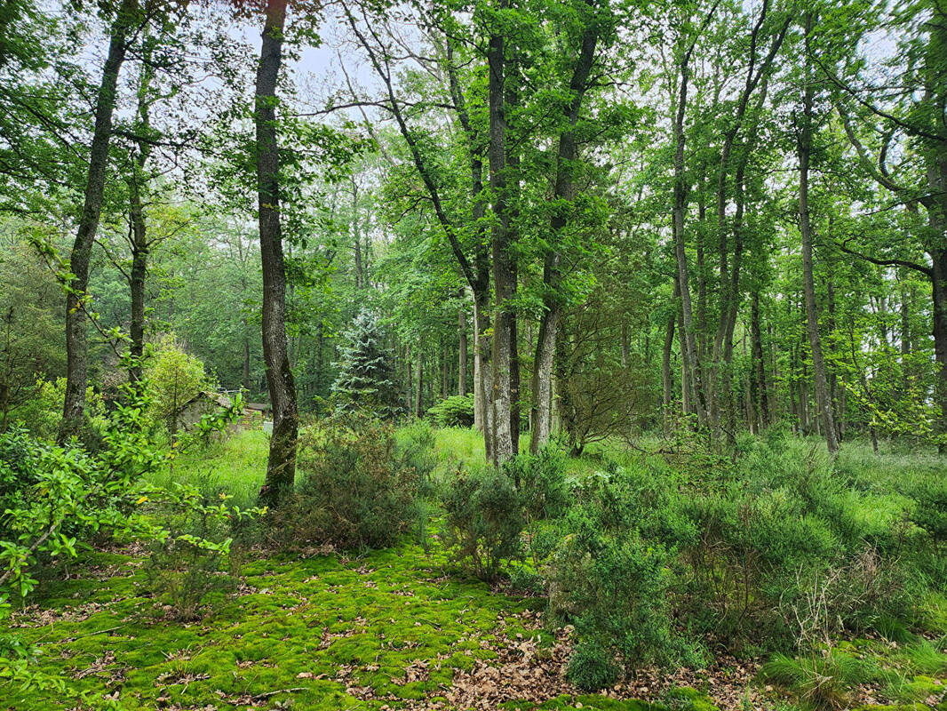 Terrain à MAINTENON