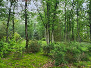 Terrain à MAINTENON