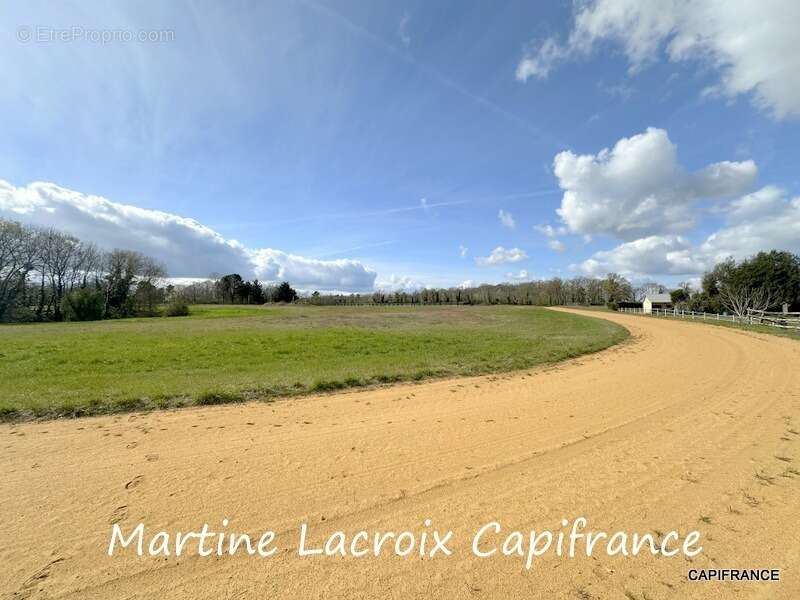 Dpt SARTHE (72), à vendre LA FERTÉ-BERNARD - PROPRIÉTÉ  P5 de 100 m² - Terrain de 10 Ha - photo 17