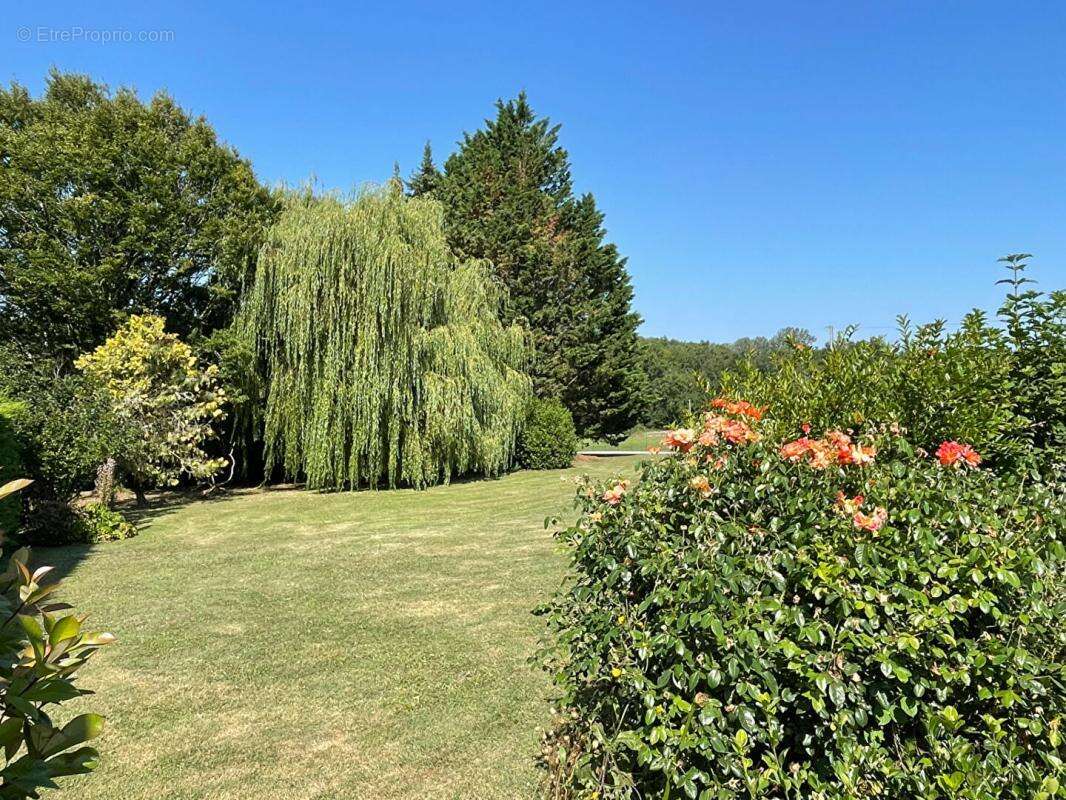 Maison traditionnelle sur 4500m² clos - photo 13