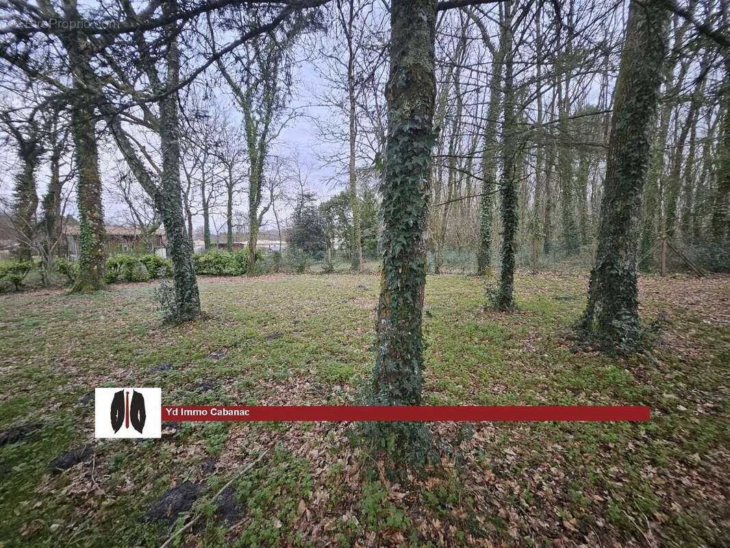 Maison landaise garage dépendances sur  plus de 5200 m² - photo 17
