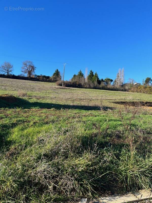 Terrain à RABASTENS