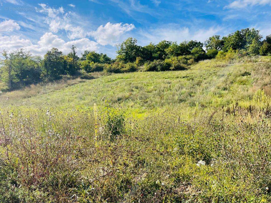 Terrain à NOGENT-LE-ROI