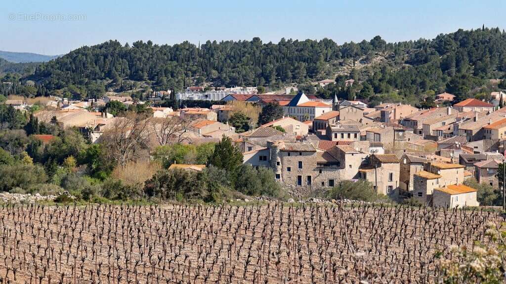 Terrain à PORTEL-DES-CORBIERES
