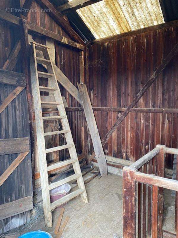Cave 400 m² sur 2 etages avec toit terrasse - photo 11