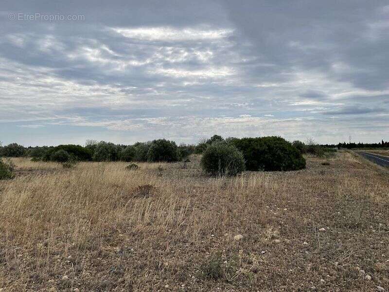 Terrain à SAINT-HIPPOLYTE