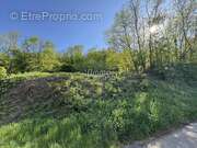 Terrain à ORSCHWILLER