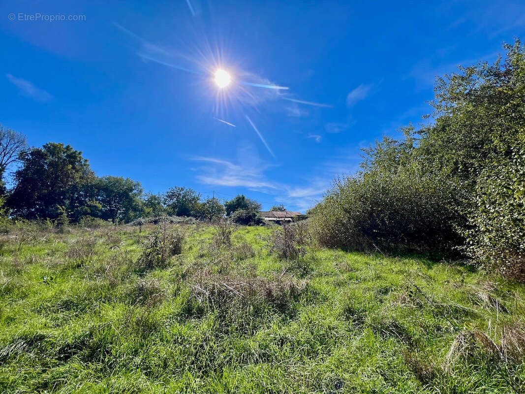 Belle opportunité dans la campagne de Villeneuve sur Lot : fermette à rénover d'environ 72m2 avec dépendances (grange attenante, - photo 17