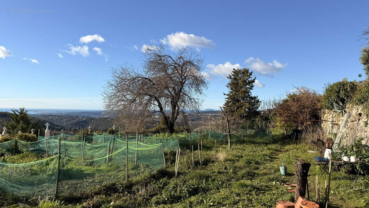 Terrain à SAINT-JEANNET