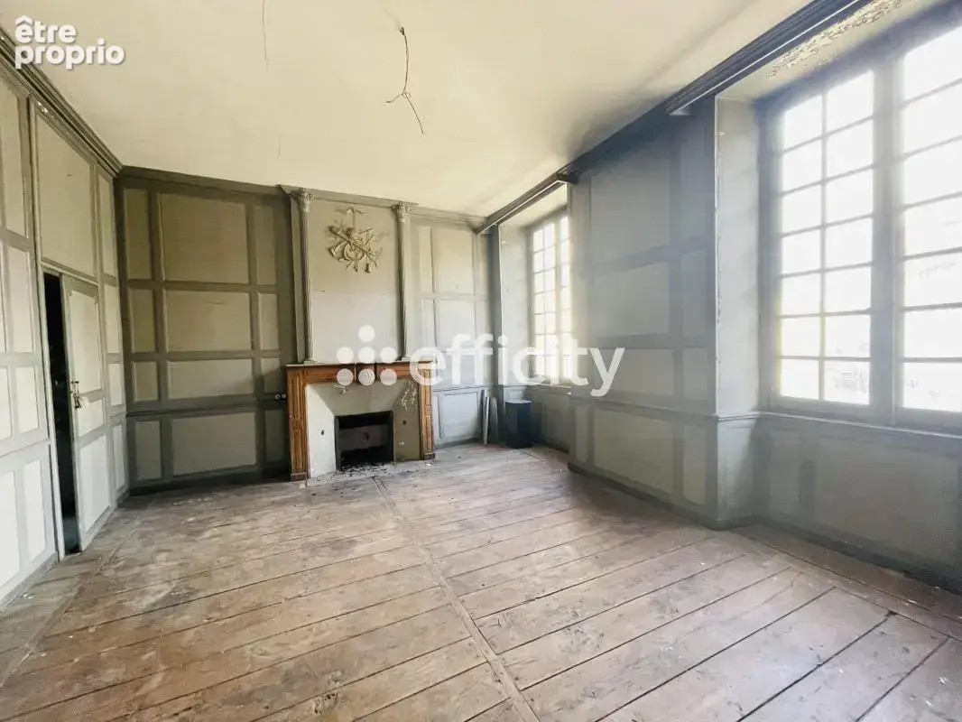 Hôtel particulier - photo 5