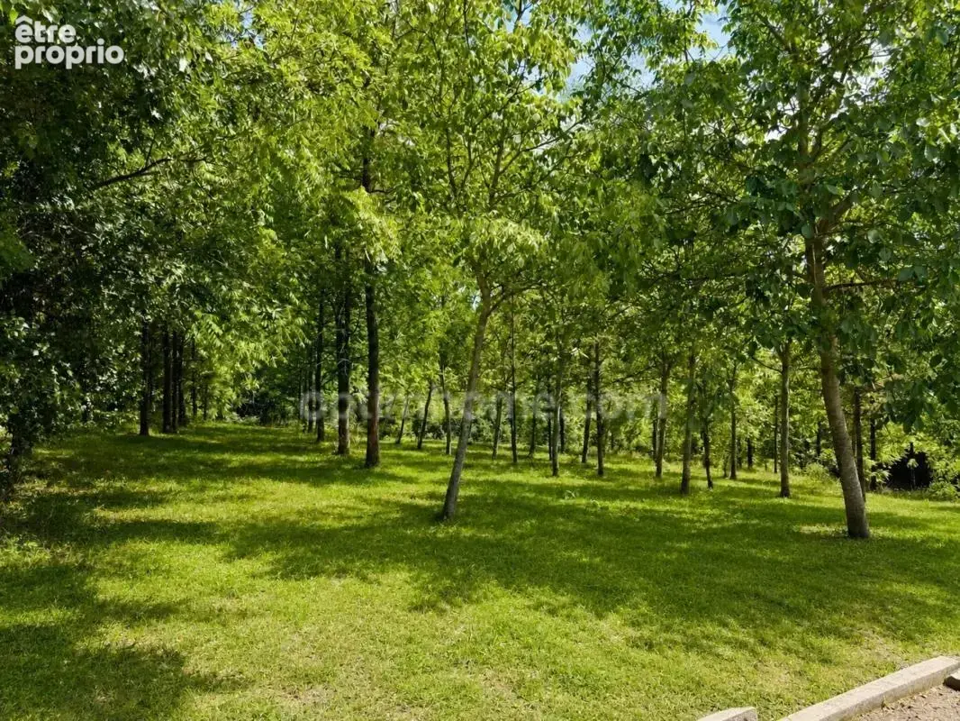 Maison normande en pierre et colombages – 150 m² – 4 chambres – Terrain de 767 m² – Val-de-Vie (14140) - photo 2