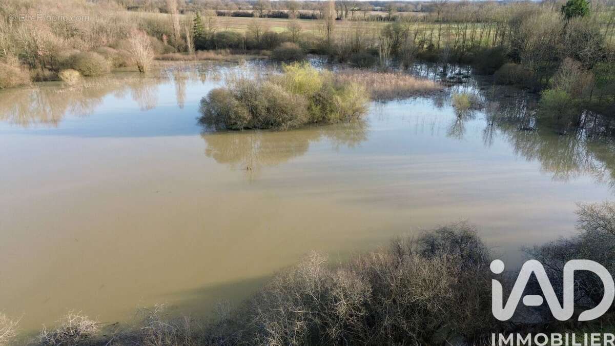 Photo 3 - Terrain à USSON-DU-POITOU