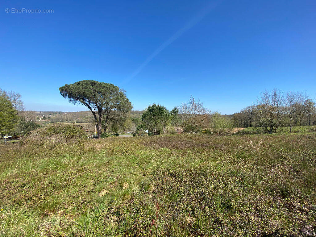 Terrain à SAINTE-COLOMBE