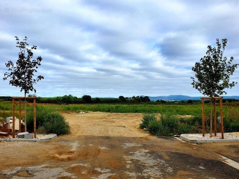 Photo Terrain à Montagnac au prix de 74 000€