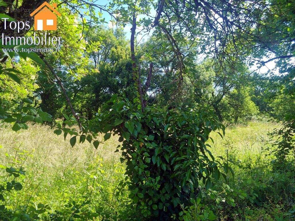 Terrain à VILLEFRANCHE-DE-ROUERGUE