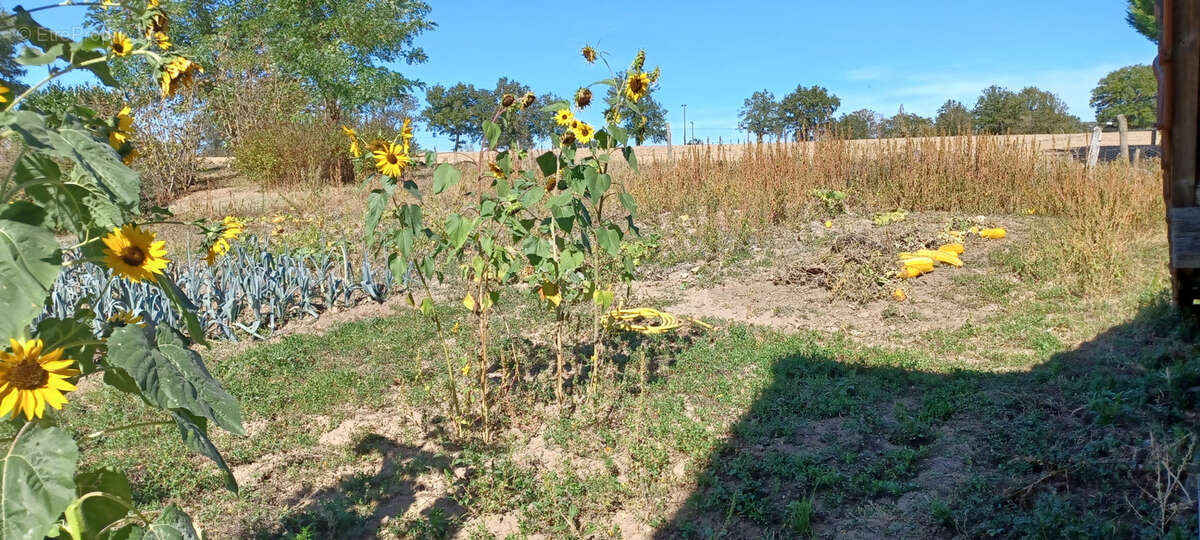 Maison à SAINT-PLAISIR