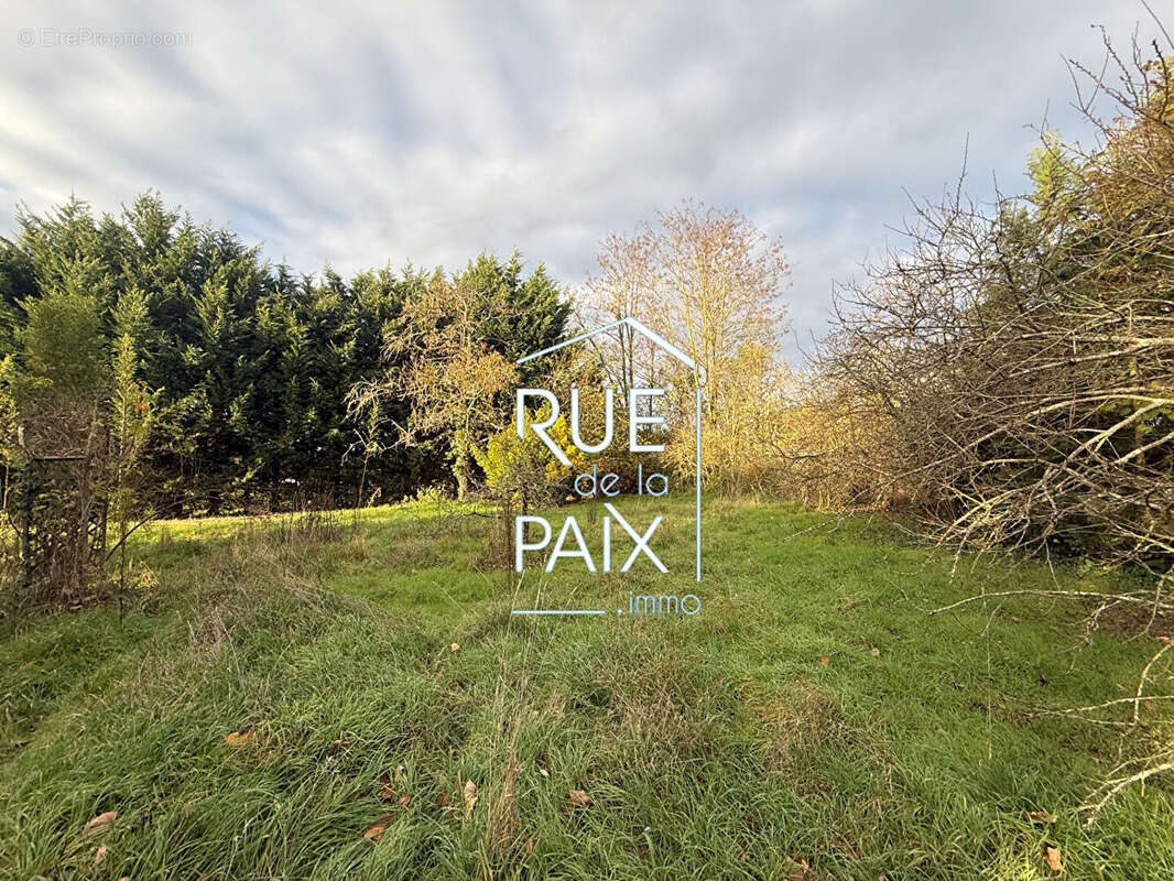 Terrain à LES TROIS-MOUTIERS