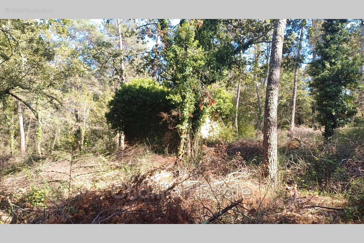 Terrain 4035 m² à Callian  - photo 3