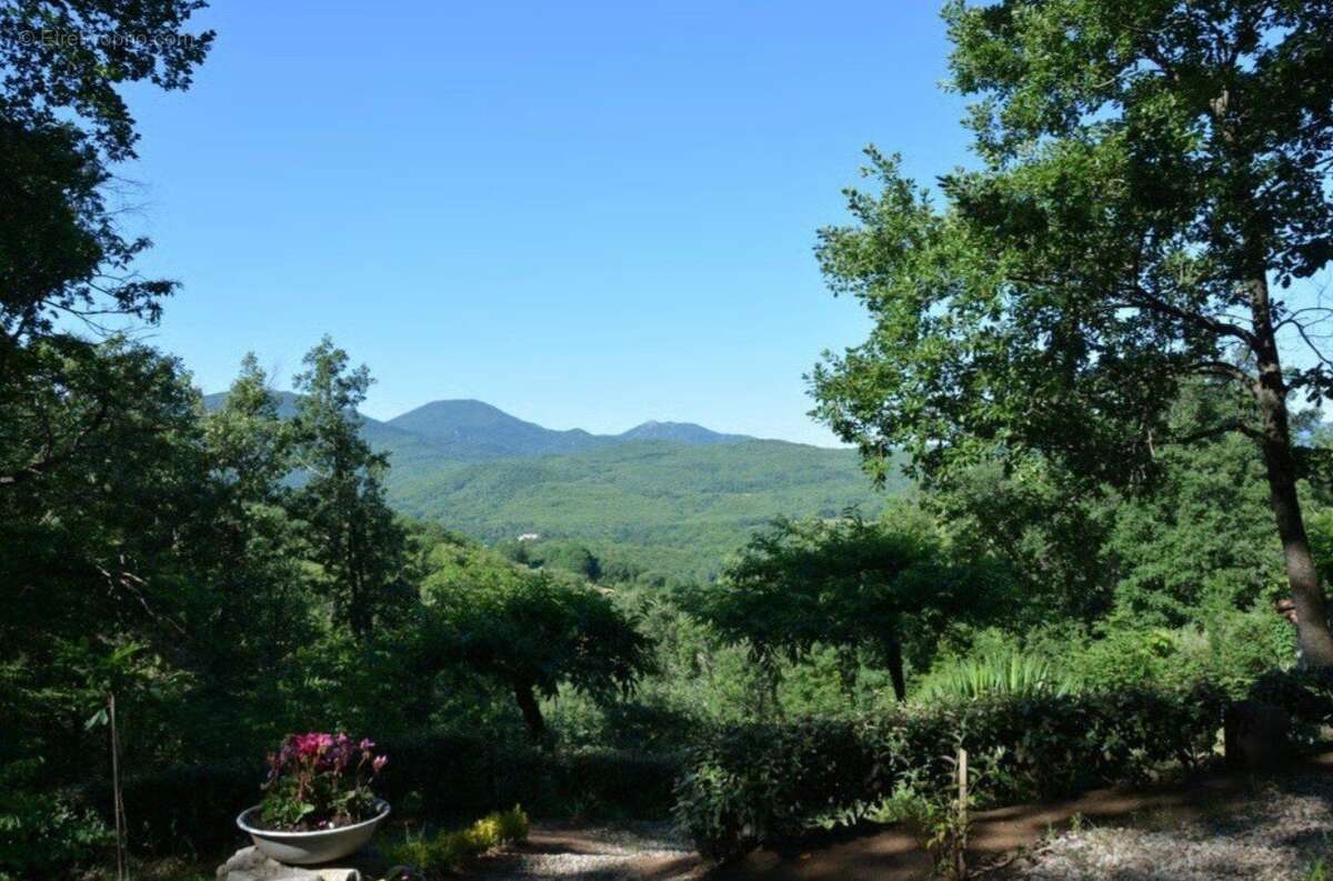 Photo 2 - Maison à SAINT-LAURENT-DE-CERDANS