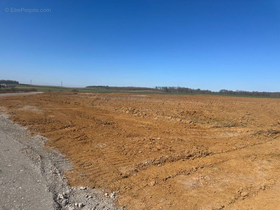 Terrain à LUTTANGE