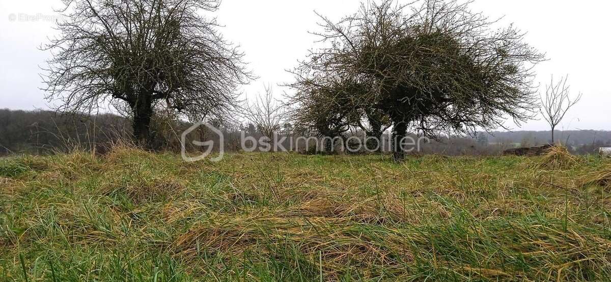 Terrain à CHATEAU-RENAULT