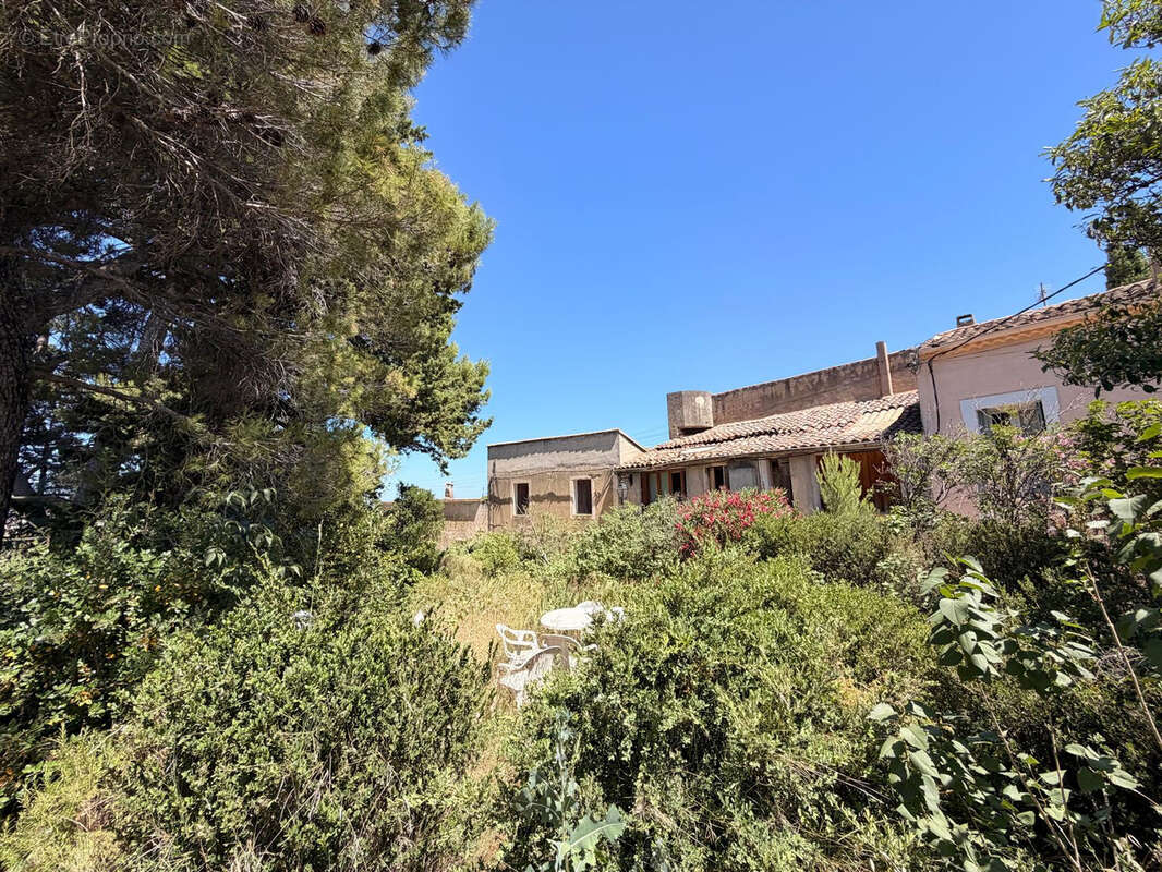 Maison de cachet de 367m2 sur un niveau avec un terrain de 800m2 - PLAISSAN - PEZENAS - photo 21