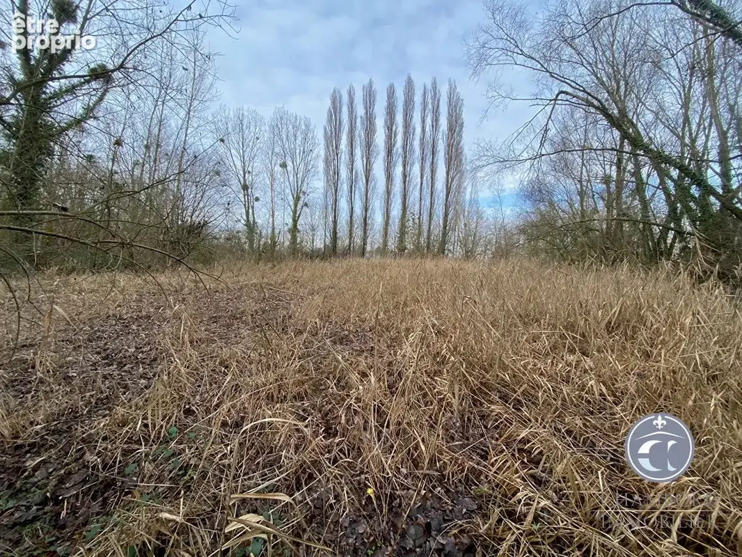Photo Terrain à Contres au prix de 15 000€