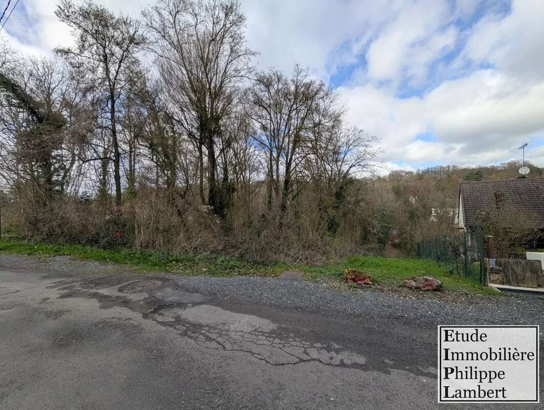 Terrain à FONTAINE-LE-PORT