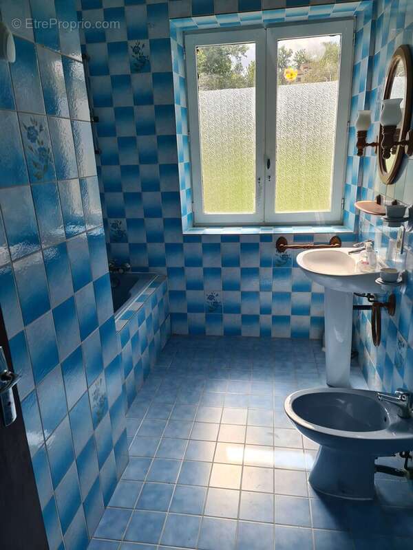 Maison à BOUDY-DE-BEAUREGARD