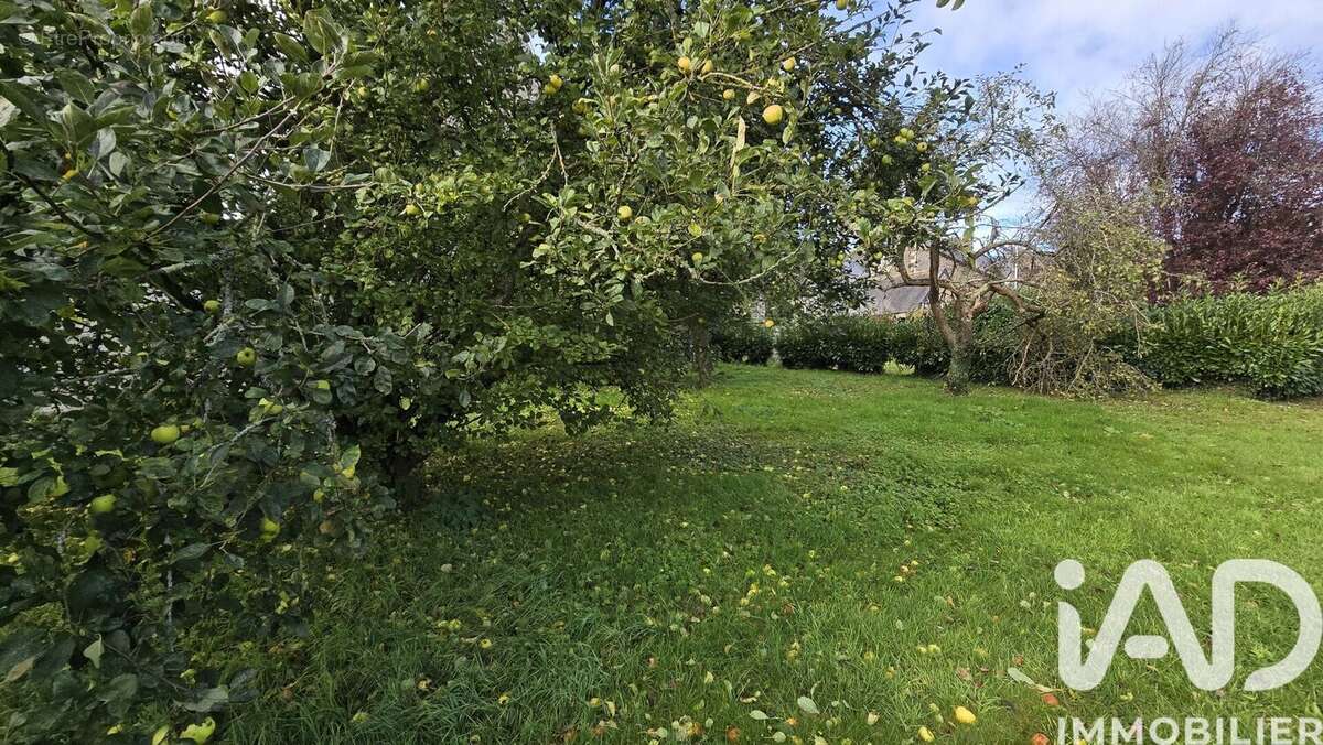 Photo 4 - Maison à PLOUARET