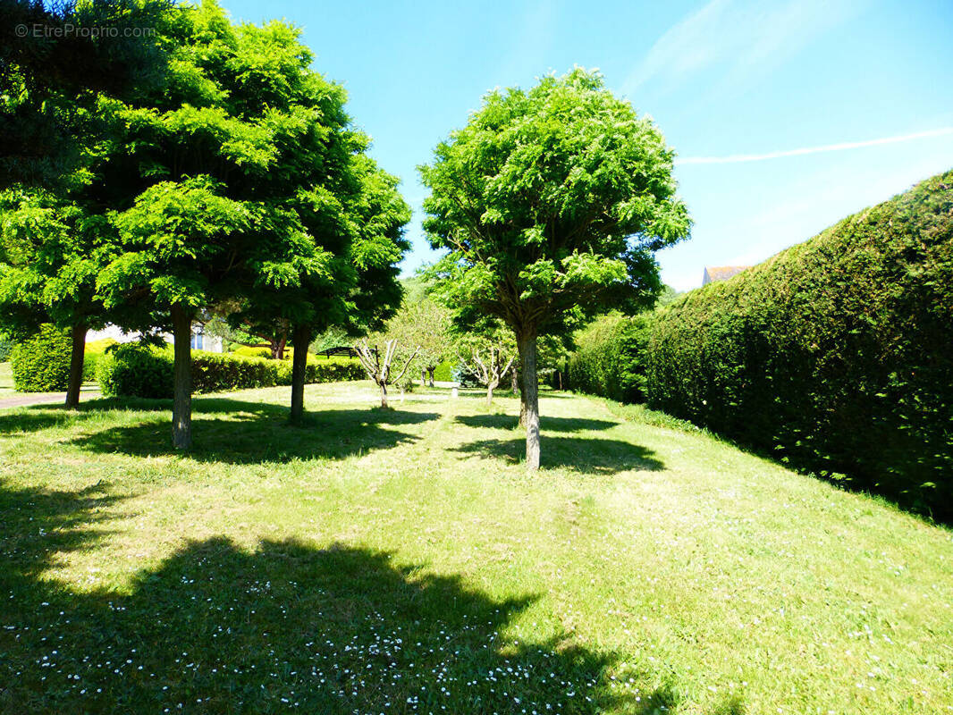 Terrain à HERBEVILLE