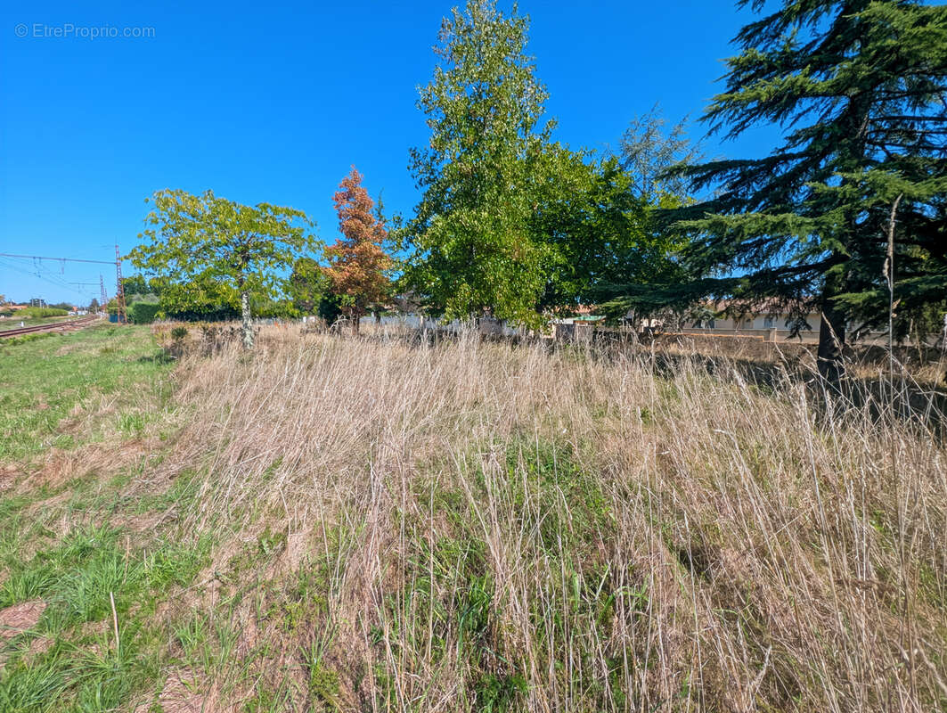 Terrain à LUDON-MEDOC
