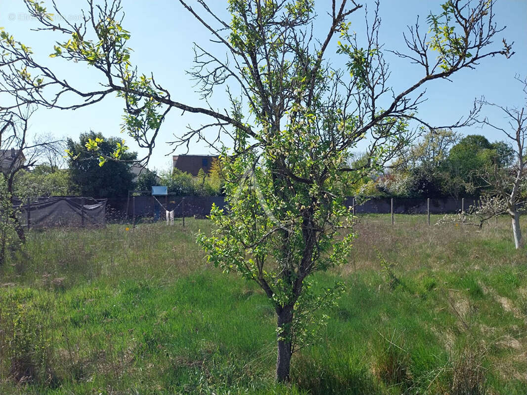 Terrain à LES MUREAUX