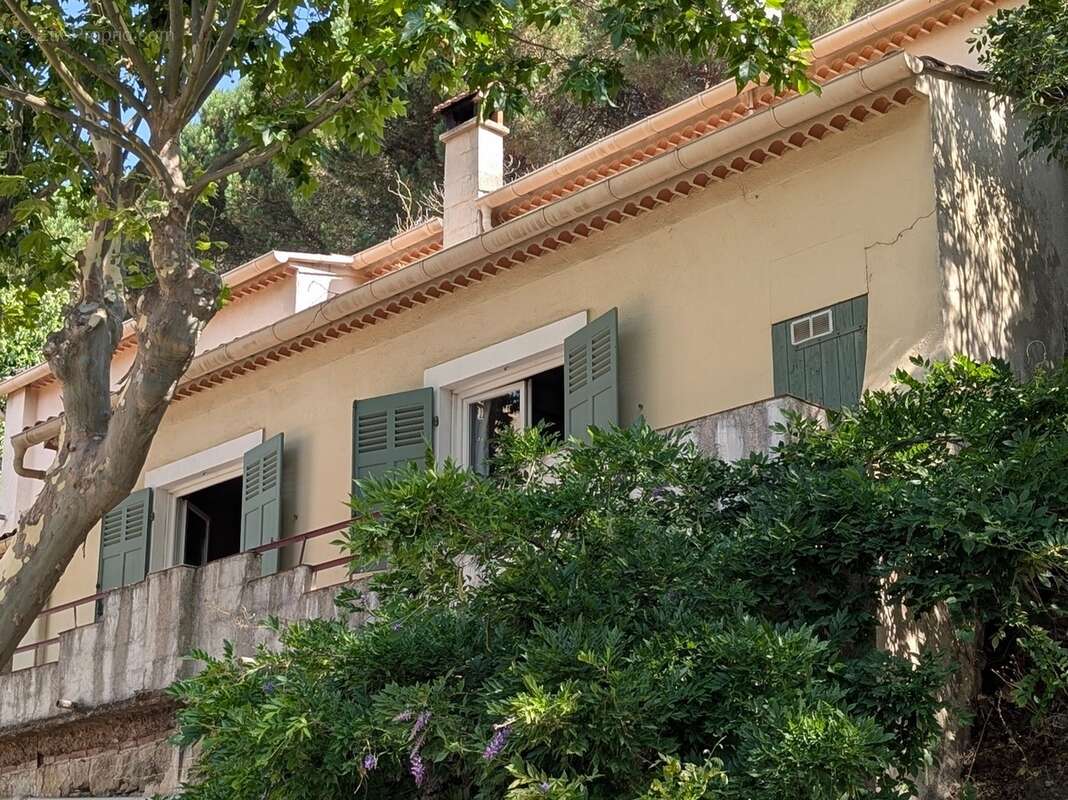 Maison 83 m² à Collobrieres  - photo 2