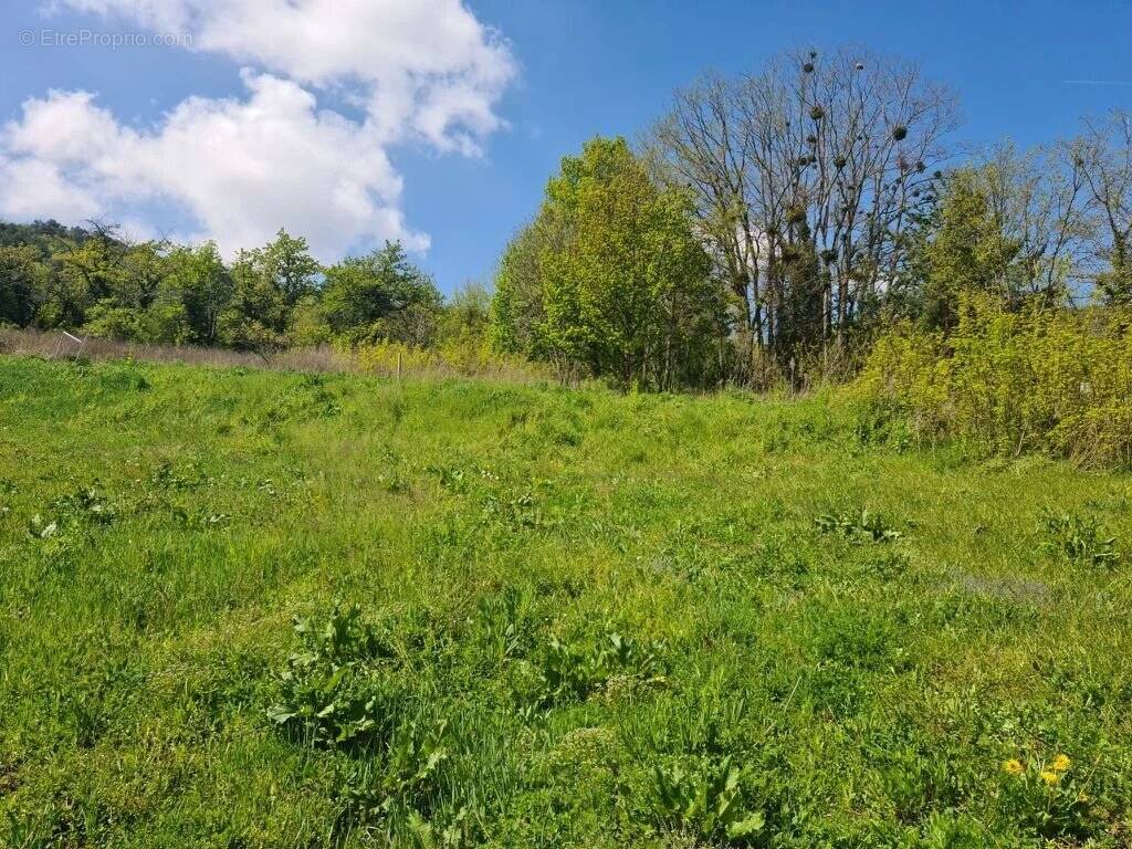 Terrain à NOHANENT