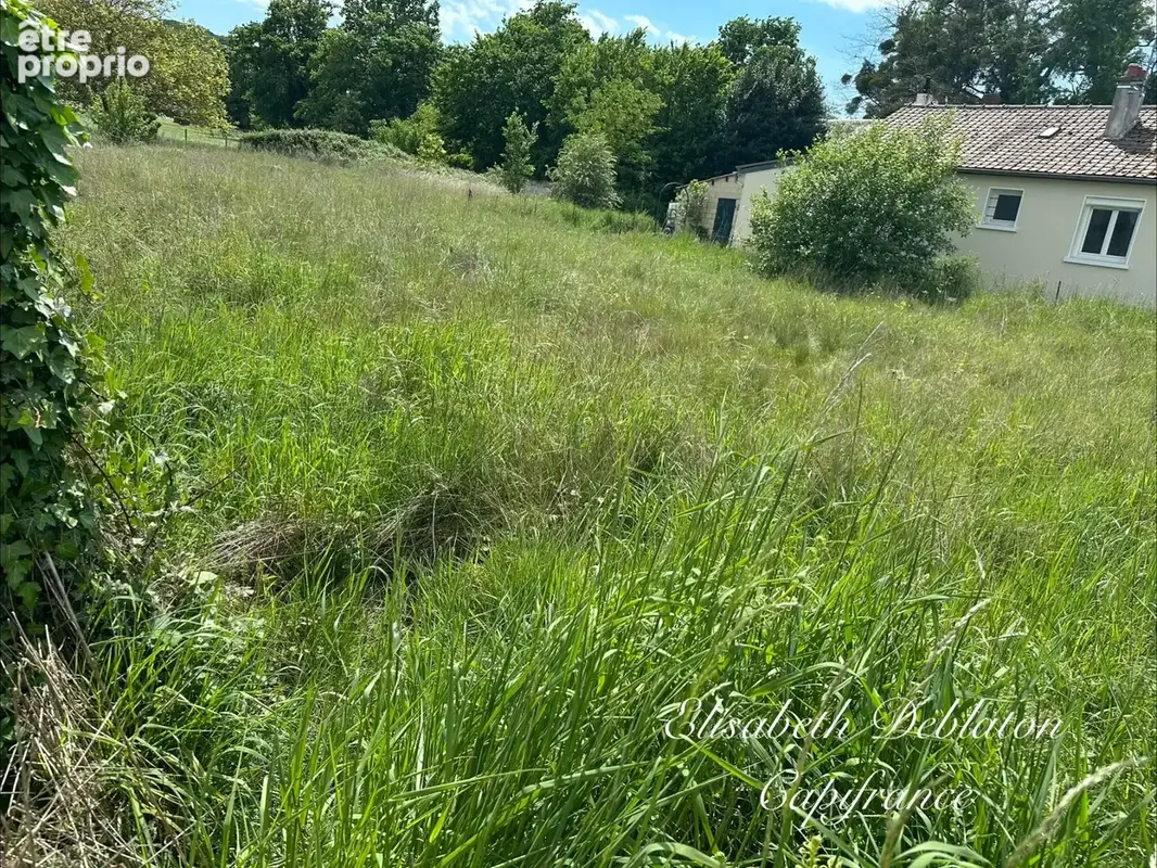 Terrain 1 006 m² – borné – viabilisé pour la vente – cuts (60) - photo 2