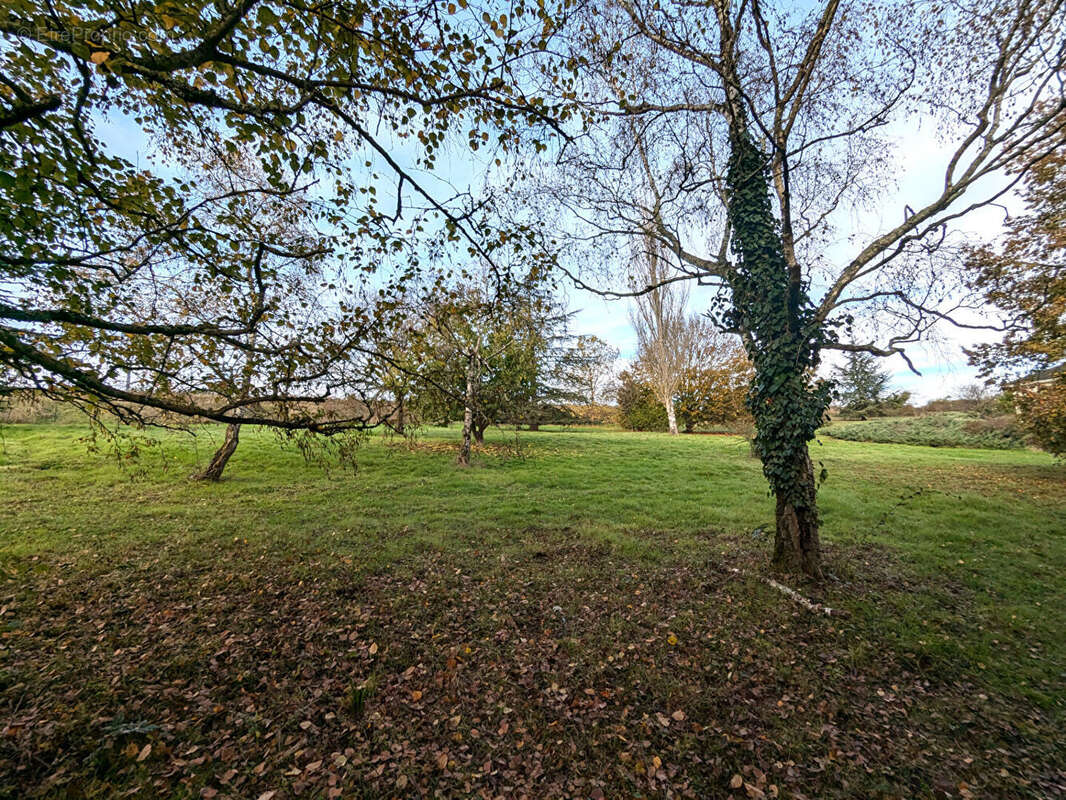 Maison à MIGNE-AUXANCES