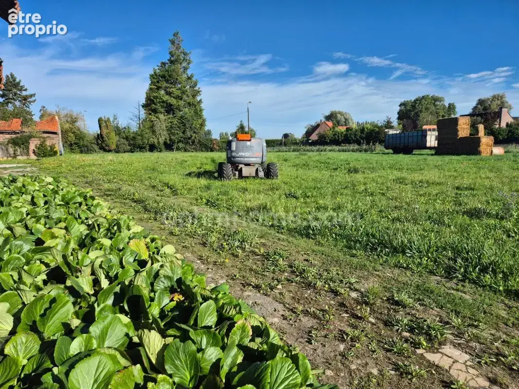 Terrain à vendre de 1 561,00 m² FRELINGHIEN (59) - photo 2