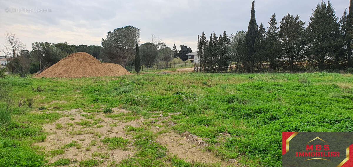 Terrain à PERPIGNAN