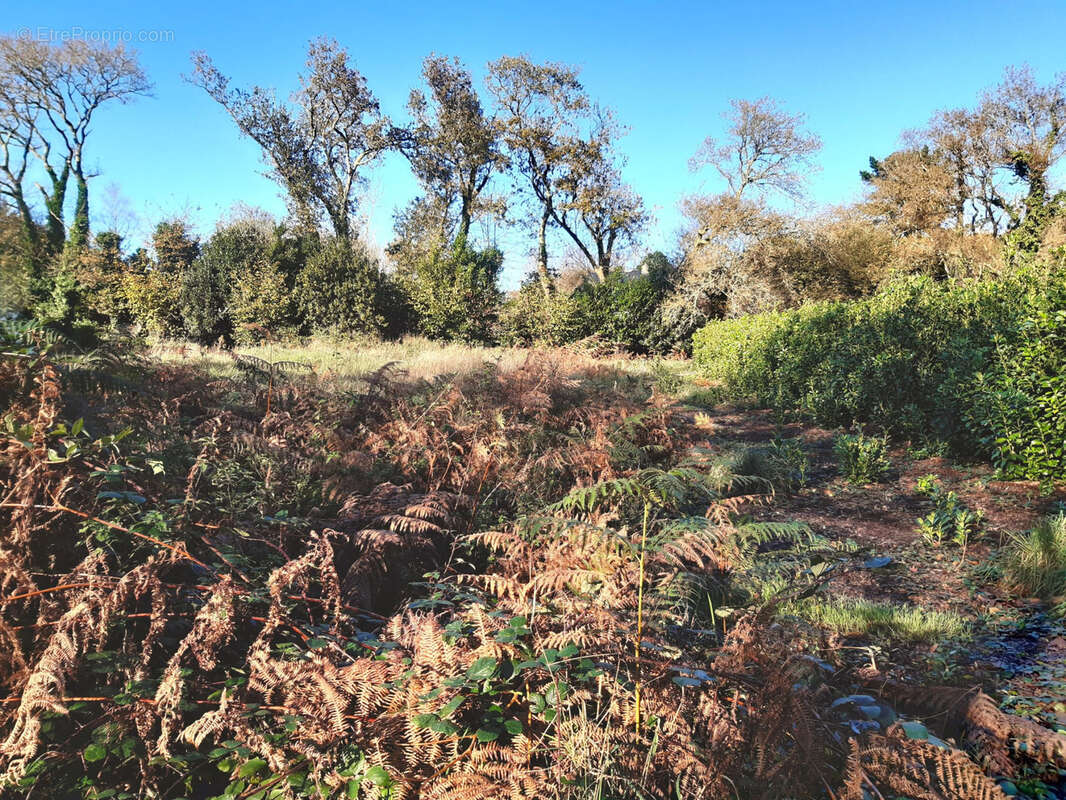 Terrain à LANDUDEC