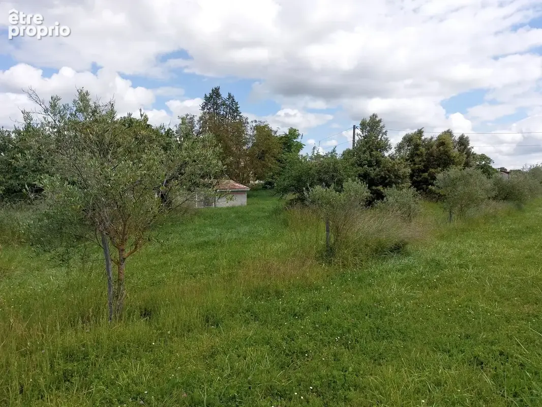 Maison en pierre à renover avec dependances et terrain de 2.5 ha attenant - photo 8