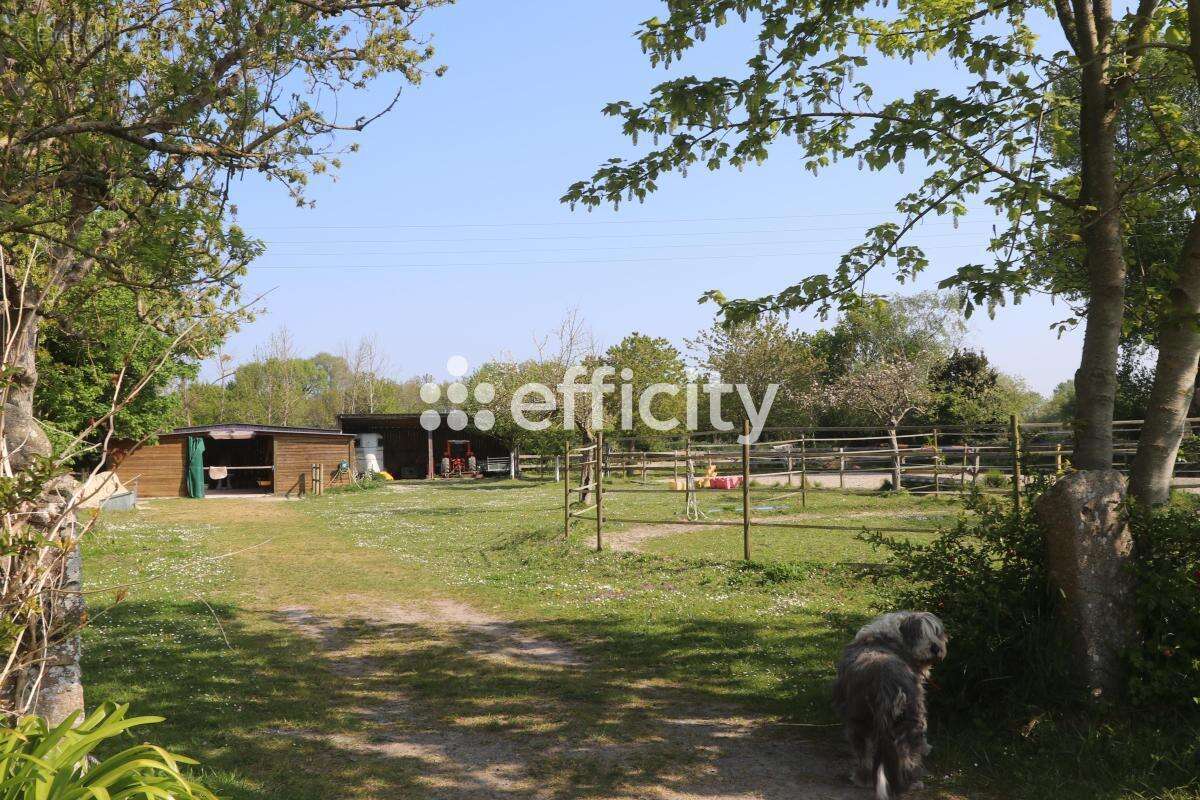 Maison 450 m² à Blainville-Sur-Mer  - photo 13