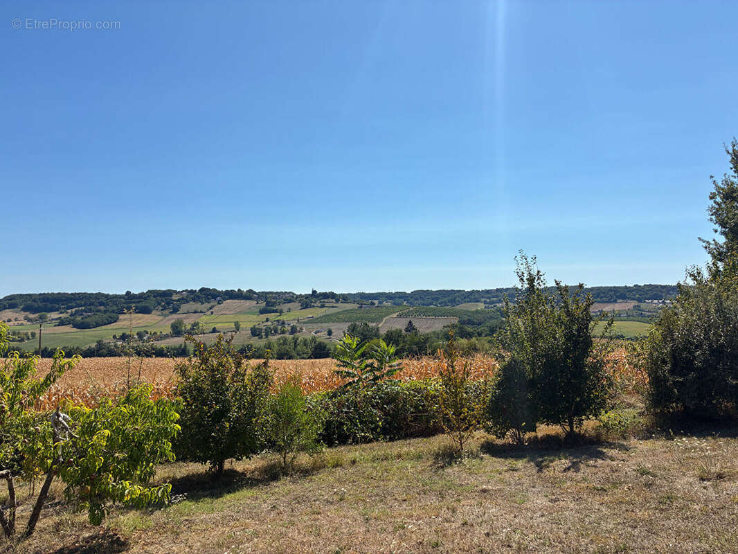 Maison à SAINTE-LIVRADE-SUR-LOT