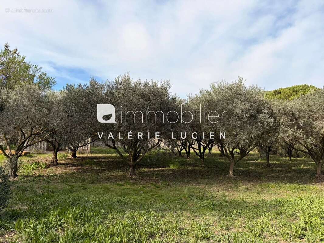 Maison à SAINT-REMY-DE-PROVENCE
