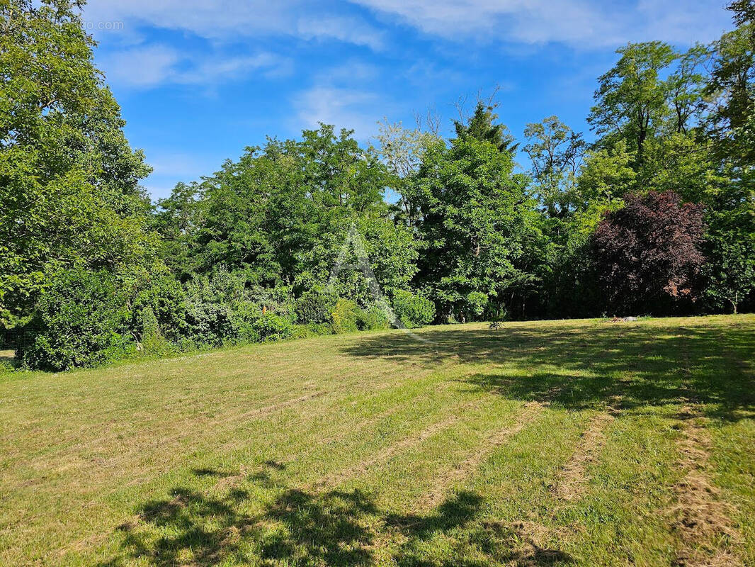 Terrain à BRIOLLAY
