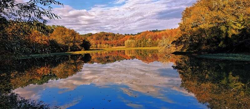 Maison à SAINT-MARTIN-DE-SEIGNANX