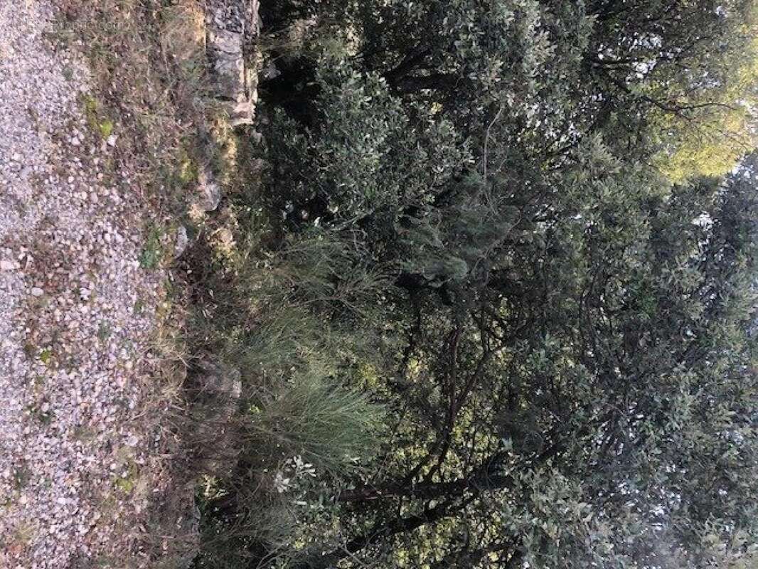 Photo 3 - Terrain à MONS