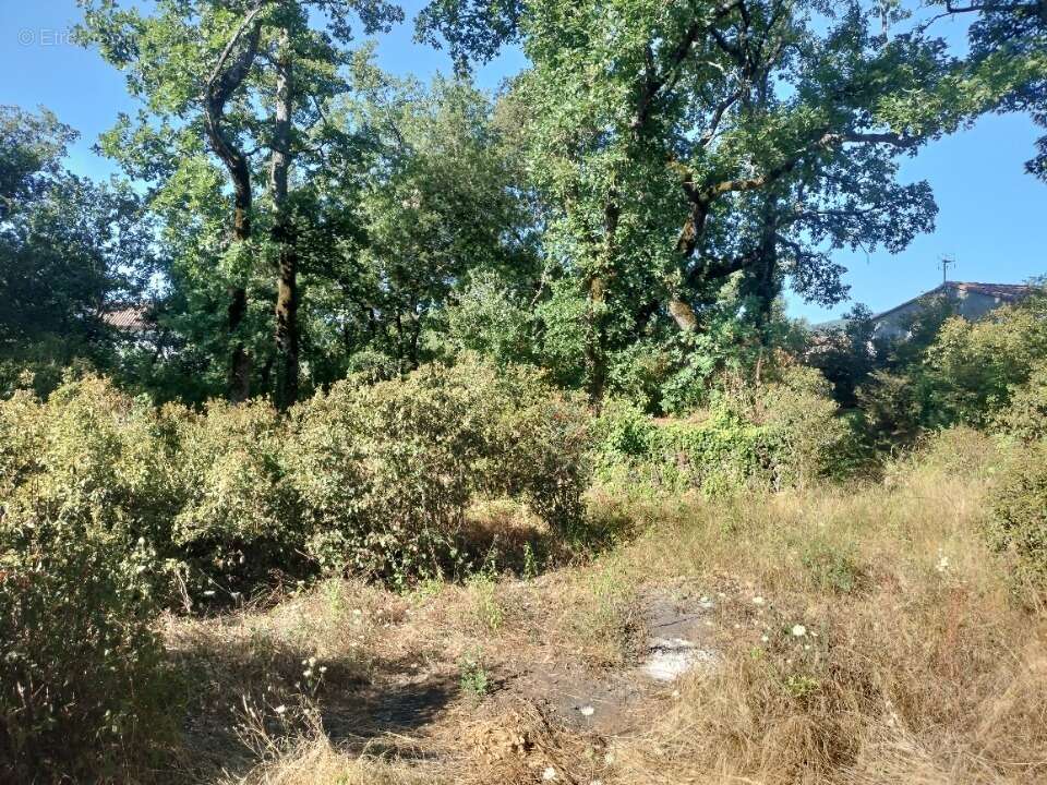 Terrain à CAMPS-LA-SOURCE