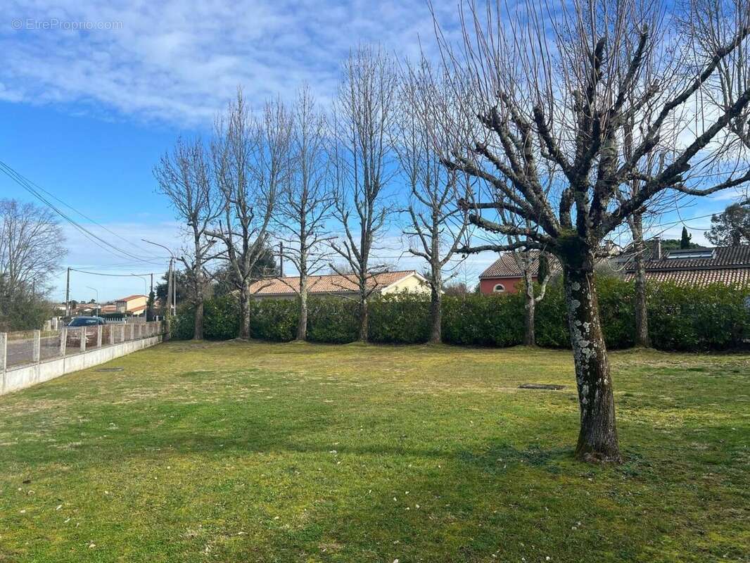 Photo 5 - Terrain à SAINT-MEDARD-EN-JALLES