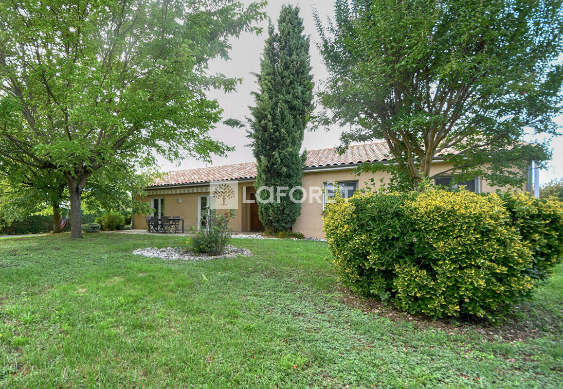 Maison à LISLE-SUR-TARN